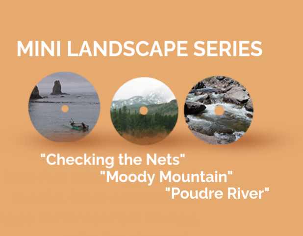 Mini Landscape Series - 3 DVD Lessons