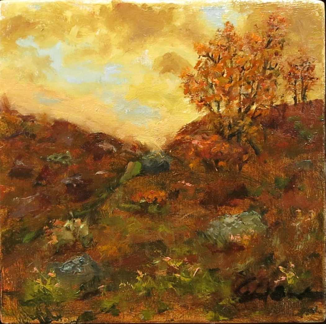 Autumn Sunset In Colorado