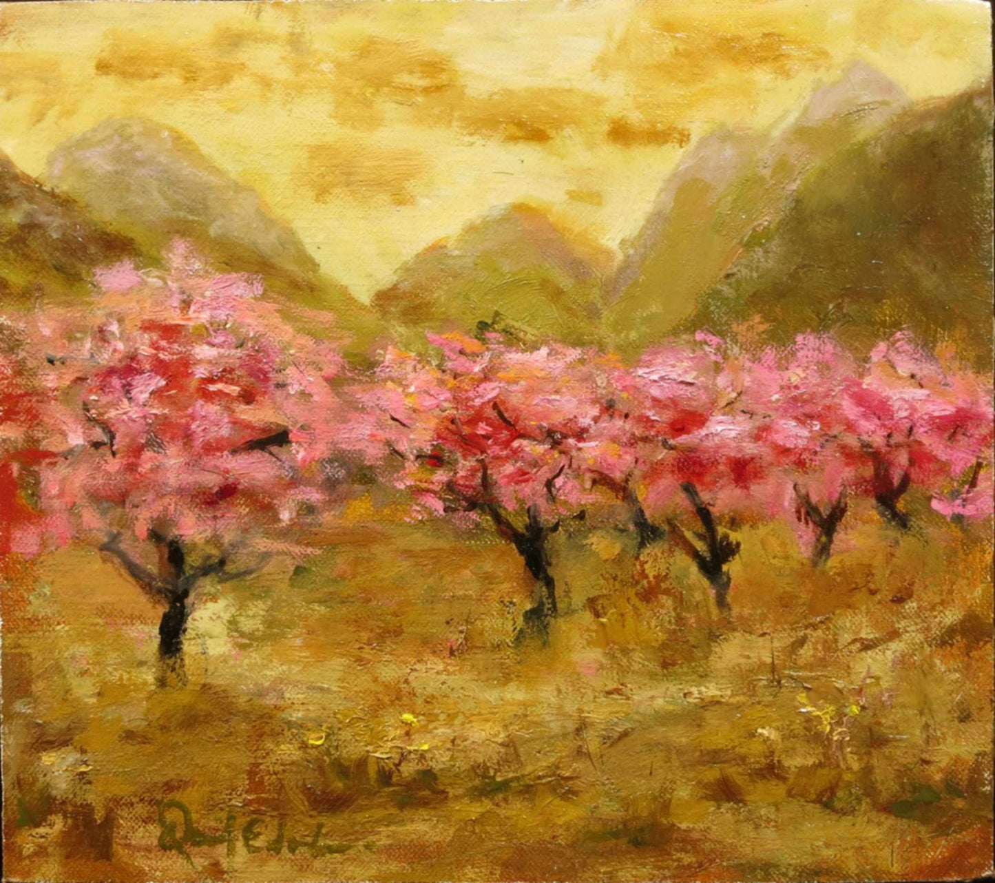 High Country Orchard in Spring