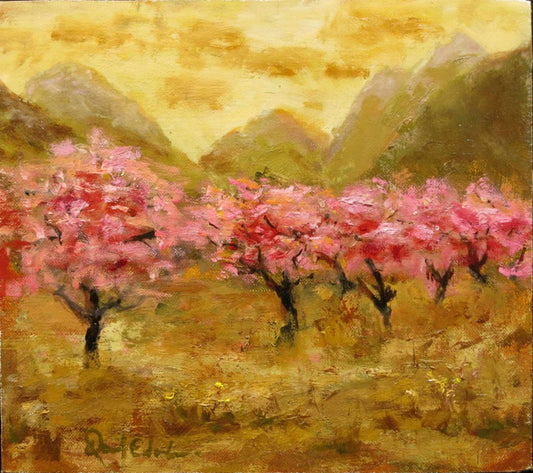 "High Country Orchard in Spring"