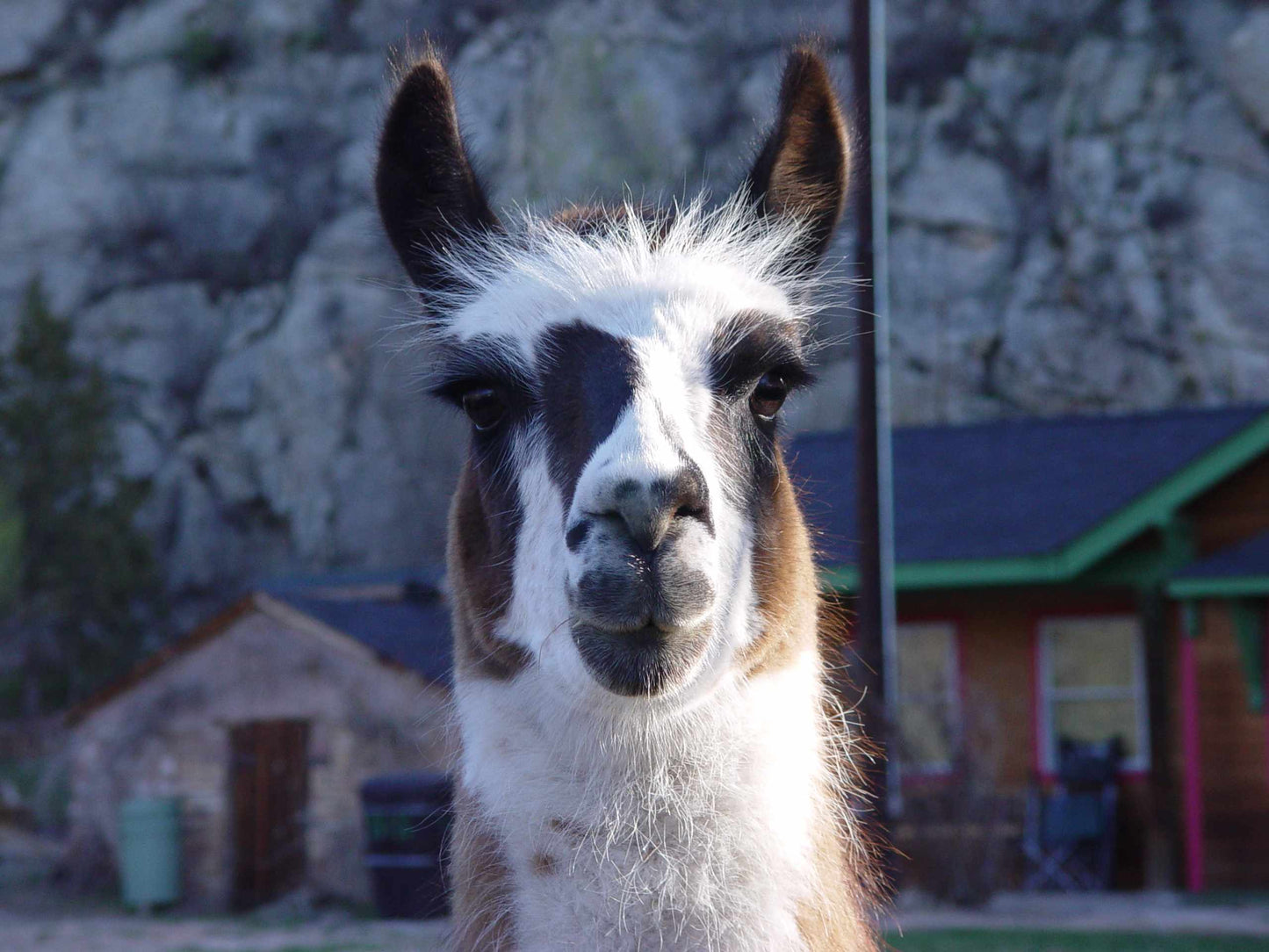 Cozy Paint Night In - Painting Bundle For One