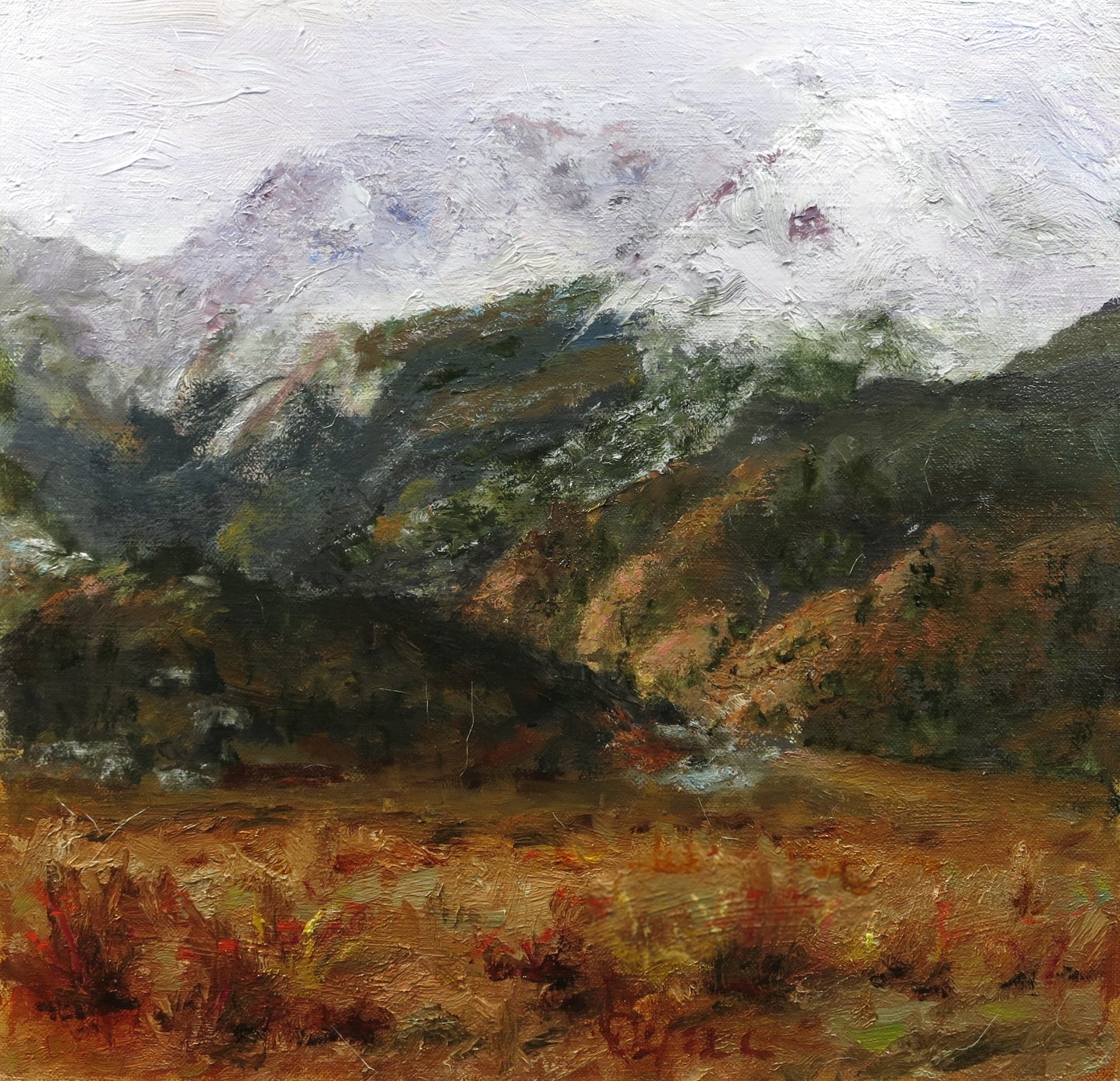 "Moraine Park"