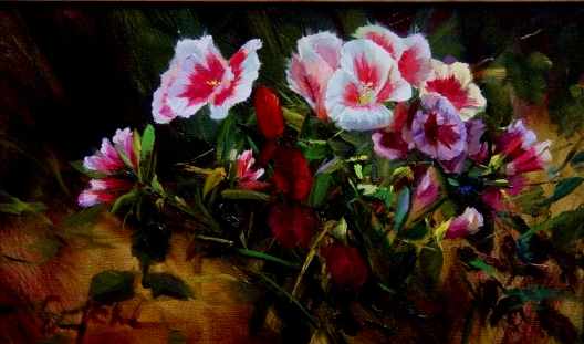Godetia