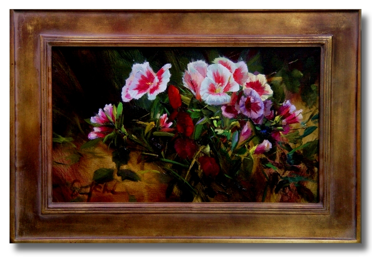 Godetia