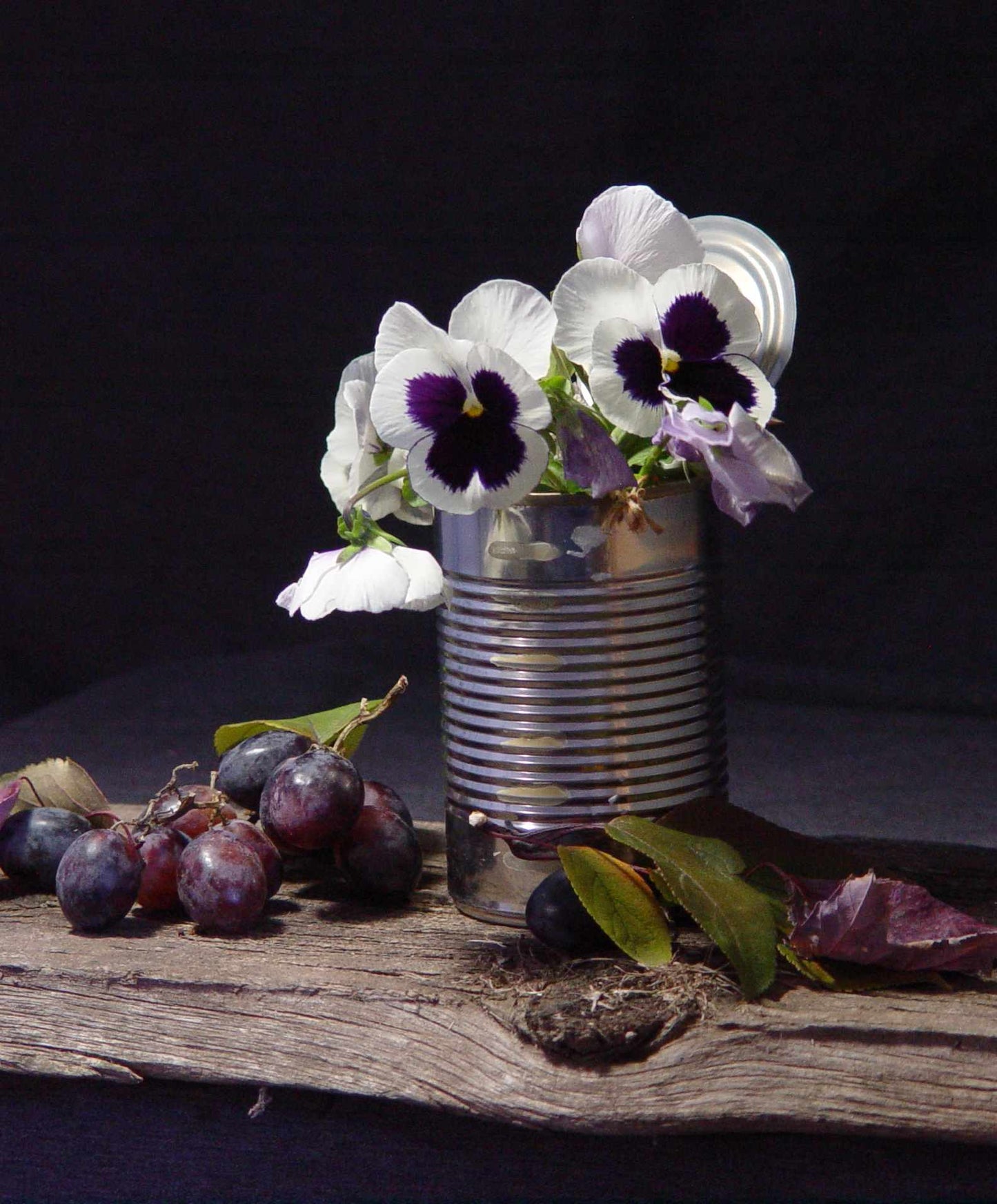 Cozy Paint Night In - Painting Bundle For One